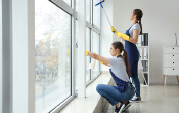 From DIY to Store-Bought: Uncovering the Best Window Cleaners